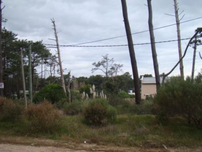 Terreno en Venta'.Montoya.Uruguay