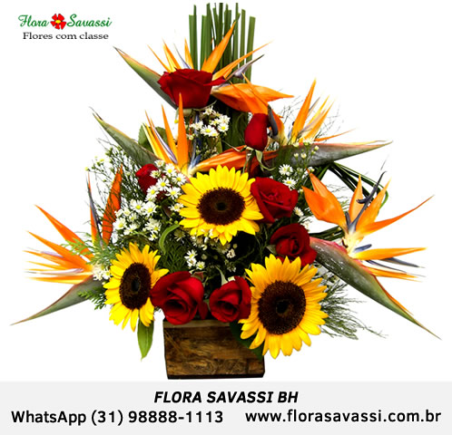 Flores online BH Floricultura BH flora BH flores BH presentes em BH Belo Horizonte, entrega orqudea