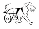 cadeira de rodas para cachorro