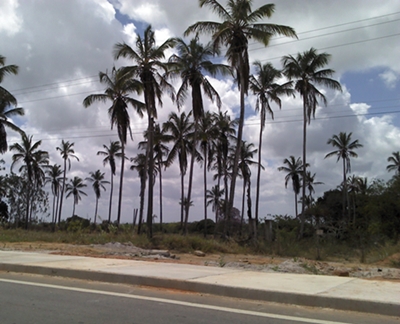 Área 16 hectares entre Recife e João Pessoa