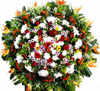 Velório Riacho coroas fúnebres entregas de coroas de flores Velório Riacho Contagem MG  Coroa