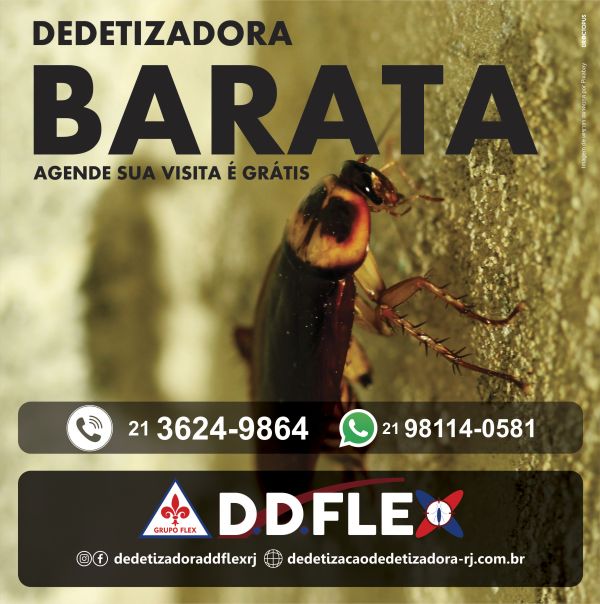 Dedetização de Baratas no Rio de Janeiro e região