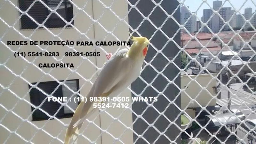Redes de Proteção no Campo Limpo, Rua Lira Cearense, (11)   5524-7412