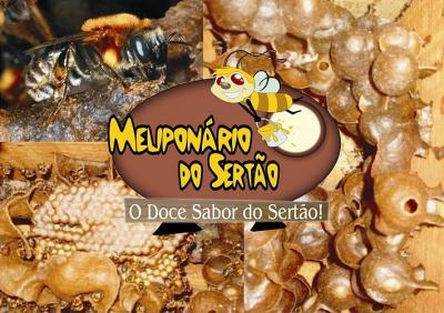 Abelha Jandaíra - Meliponário do Sertão