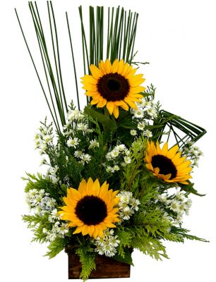Arranjos maternidade, cestas de flores, bouquets entregamos em toda grande BH (31) 3024-1113  Flores