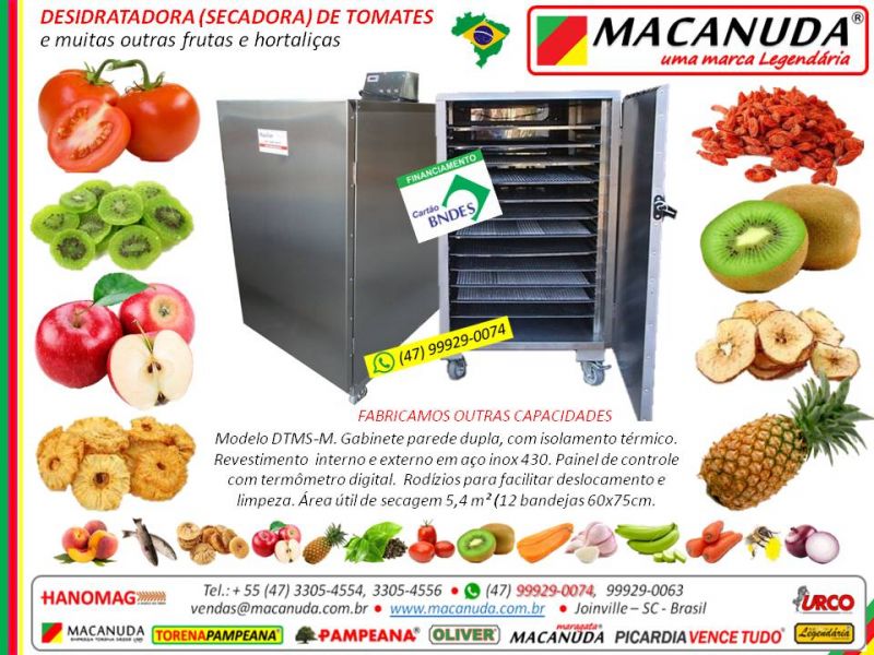 FÁBRICA de tomate seco e outras hortaliças Máquinas PROFISSIONAIS MACANUDA