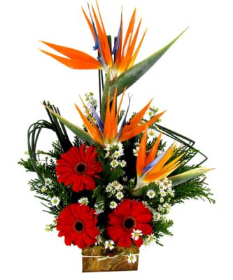 Contagem MG Flores Flora Floriculturas em Contagem Entrega de Flores cestas coroas Contagem  Flores