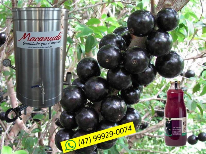 Panela de fazer suco de jabuticaba e outras frutas, marca Macanuda
