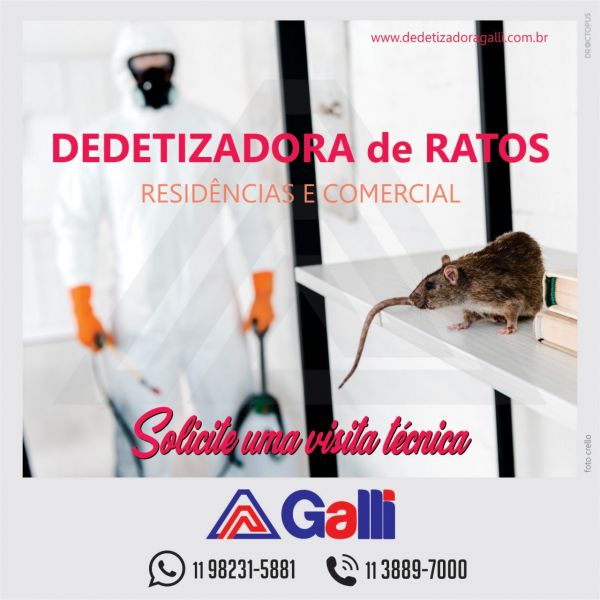 Dedetização de Ratos - Itapevi/SP
