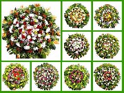 •	Floricultura e Flora BH coroas de flores  velórios e cemitério Parque da Colina