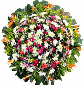 Velorio do Barreiro de BH, R$ 190,00 Entregas de Coroas de flores Velorio do Barreiro de baixo BH