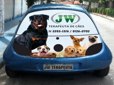 Jw Passeador de Cães