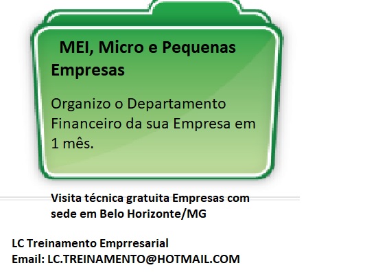 Organizao do Departamento Financeiro em 1 ms - para MEI, Micro e Pequenas Emprresas