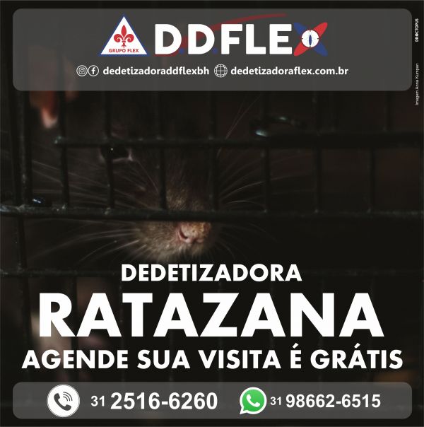 Dedetizadora de Ratos DDFlex - Pampulha/BH
